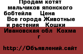 Продам котят мальчиков японского бобтейла. › Цена ­ 30 000 - Все города Животные и растения » Кошки   . Ивановская обл.,Кохма г.